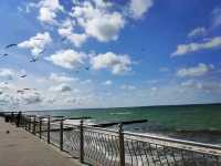 Waves, Wind & Weekend Feels on the Zelenogradsk Promenade