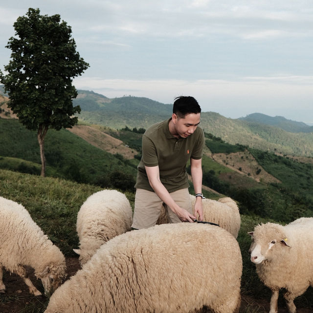 🌾 วิวหลักล้านกลางหุบเขา – Akha Farmville