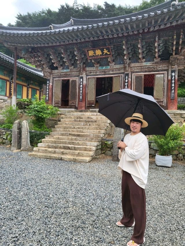 비오는날 수국을 볼수있는 남해 사찰