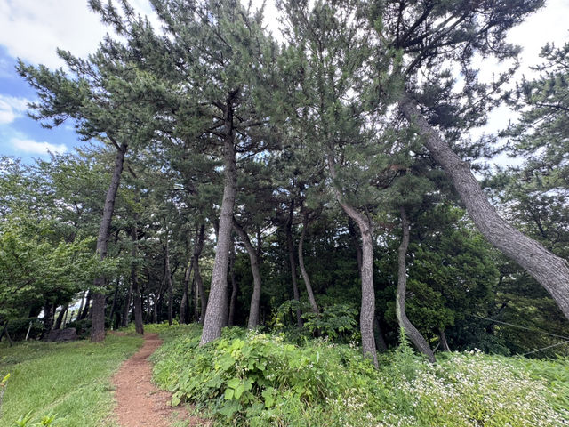 도심 속 건강 공원
