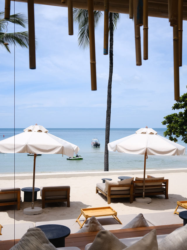 TOP NOTCH EXPERIENCE IN KO SAMUI 💖