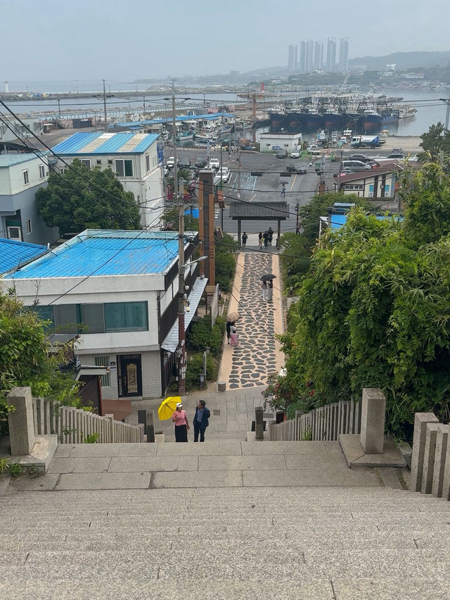 지금 당장 떠나야 할 포항 1박2일 여행 코스