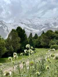 Mountains, Culture & Hidden Magic