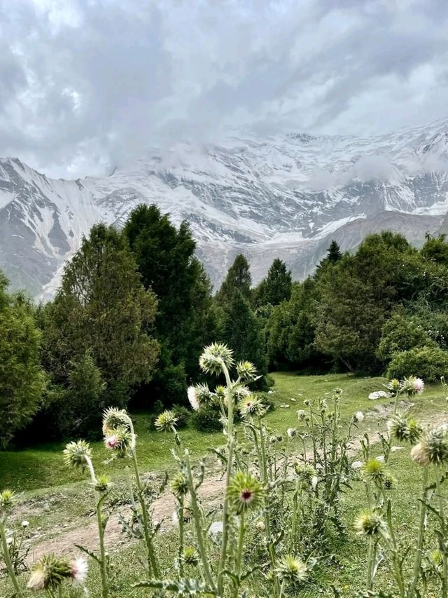 Mountains, Culture & Hidden Magic