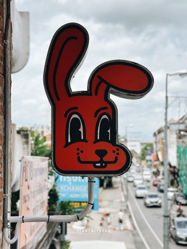 Millilit Cafe Thapae ChiangMai . 🐰🥕