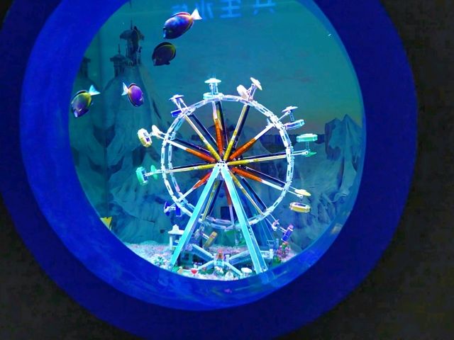 A Stroll Under the Sea in Shanghai Haichang Ocean Park
