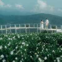 Yingyong flower garden