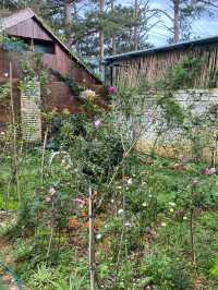 Lululola Coffee Dalat