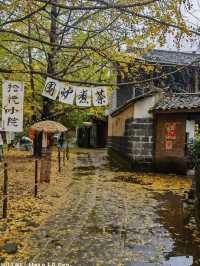🍁 Late Summer-Autumn Dreams in Tengchong — Golden Leaves, Quiet Roads