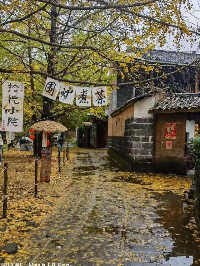 🍁 Late Summer-Autumn Dreams in Tengchong — Golden Leaves, Quiet Roads