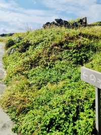 A Picturesque Coastal Beacon in a Serene Setting