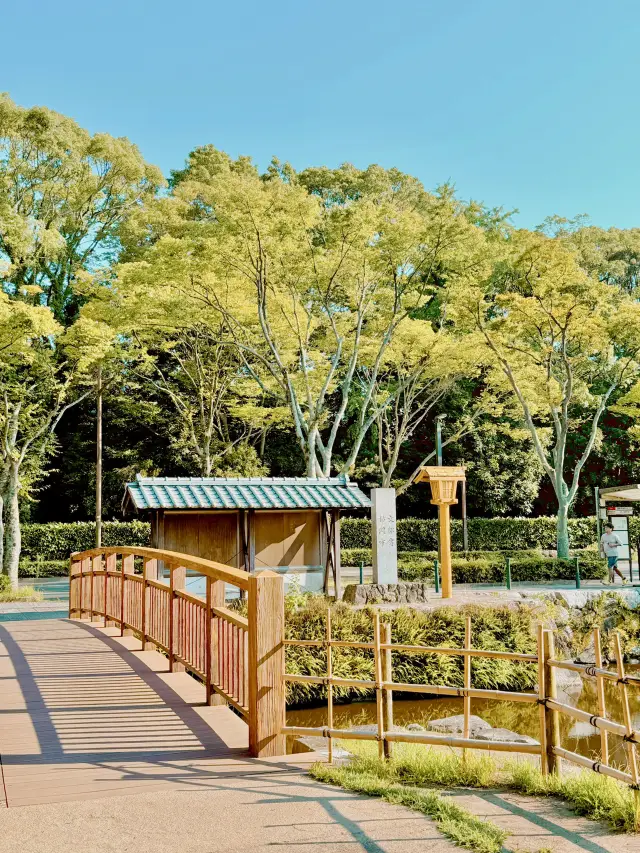 日本福岡，值得一遊的福岡城遺址。