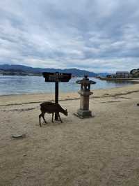 hiroshima miyajima ใช้งบเท่าไหร่