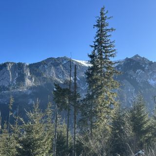 📍 Zakopane, Poland 🇵🇱 | 유럽 속 숨겨진 겨울왕국 발견! ❄️