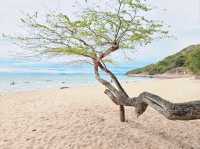 หาดทรายสวยใกล้กรุง