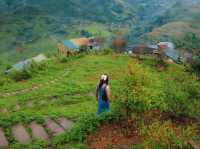 Moana Sapa ,Vietnam🇻🇳