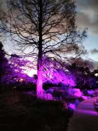 🎆Lightscape Part 1🎆