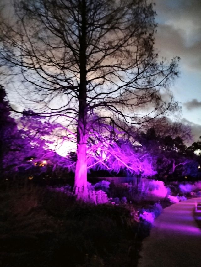 🎆Lightscape Part 1🎆
