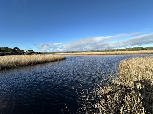 โลเคชั่นถ่ายรูปสุดปังPrincetown Wetlands Boardwalk