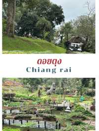 🌸🏞️ ดอยตุง เชียงราย – ธรรมชาติ งดงาม และอบอุ่นใจ