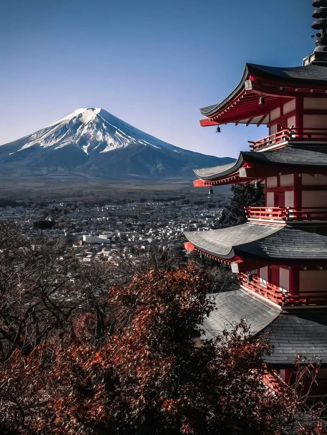 東京🇯🇵 冬季雪頂富士山🗻❄️浪漫值拉滿 ❤️💛💚