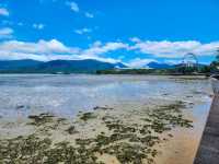 Tropical Adventure and Natural Wonders in Cairns