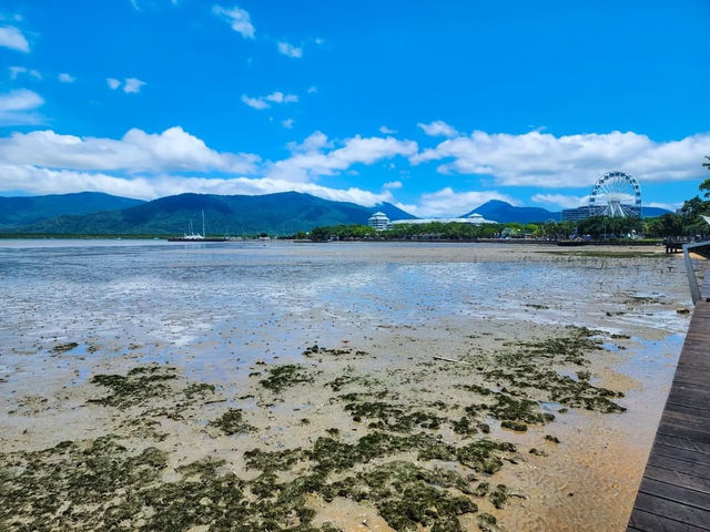 Tropical Adventure and Natural Wonders in Cairns