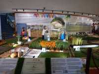 Unveiling the Beauty of Rice Culture at Muzium Padi 🌾🏛️