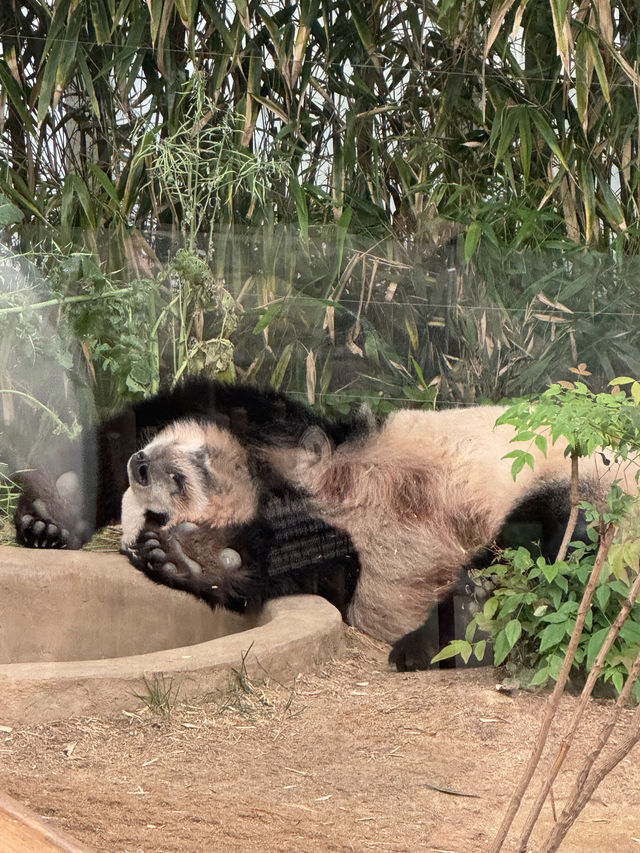 ๐ข ์ฉ์ธ ์๋ฒ๋๋, ๋์ด์ ์ฒดํ์ ํ๋ฃจ ๐ ๐ข ์ฉ์ธ ์๋ฒ๋๋, ๋์ด์ ์ฒดํ์ ํ๋ฃจ ๐