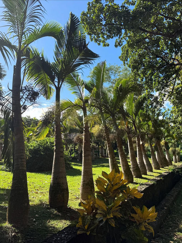 A Botanical Treasure at Pamplemousses Garden Pamplemousses