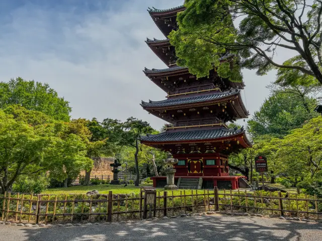日本🇯🇵東京 上野動物園Ueno Zoo