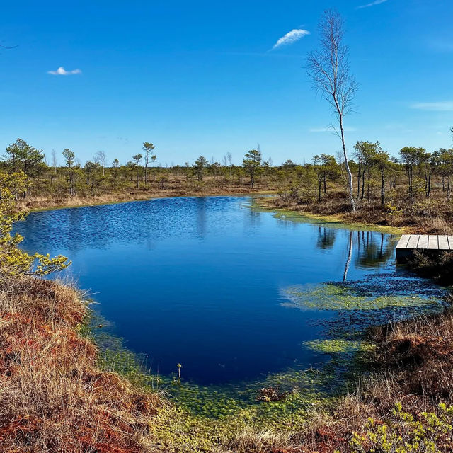 Breathe Deep: My Solo Recharge in Ķemeri National Park Breathe Deep: My Solo Recharge in Ķemeri National Park