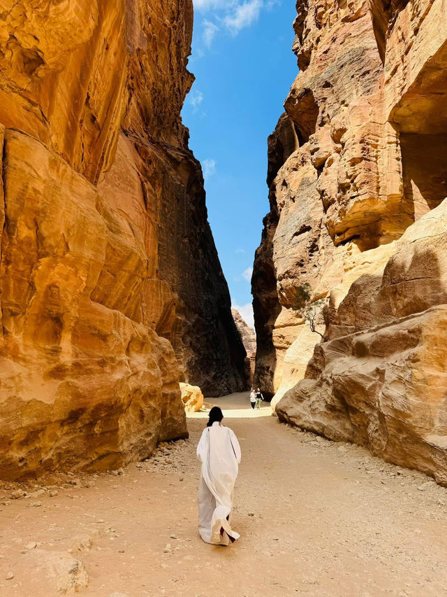 Petra and Wadi Rum Moments 