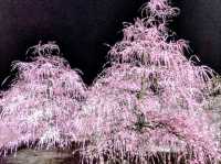 梅とグルメの一泊二日