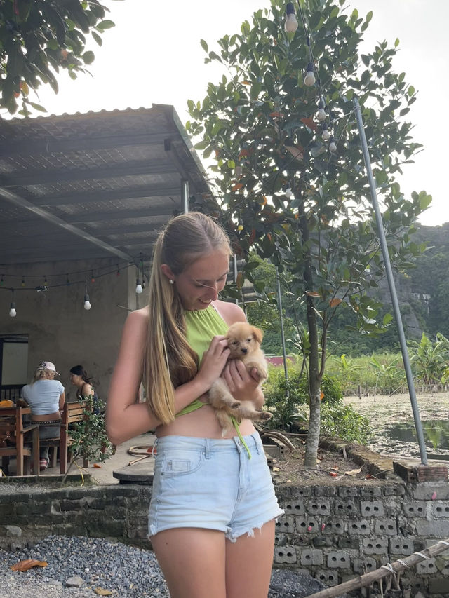 Duck Paradise in Ninh Binh 🦆✨