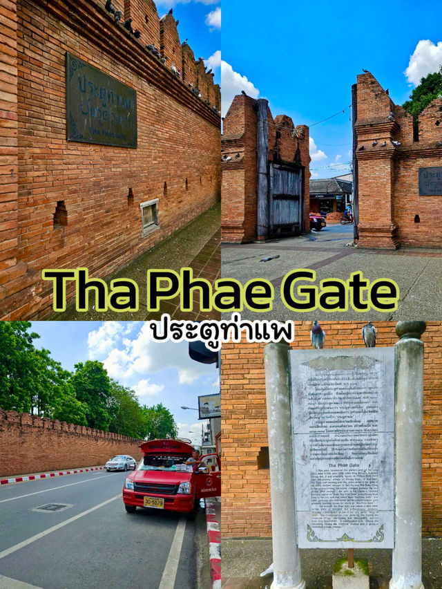 มาถึงเชียงใหม่ จะพลาดโพสท่ากับประตูท่าแพได้ไง 📸🕊️