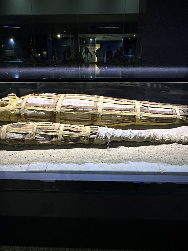 🌟 Crocodile Museum – Aswan, Egypt