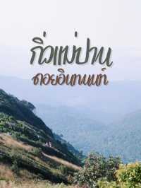 🏞️ กิ่วแม่ปาน – เส้นทางเดินชมธรรมชาติสุดปัง