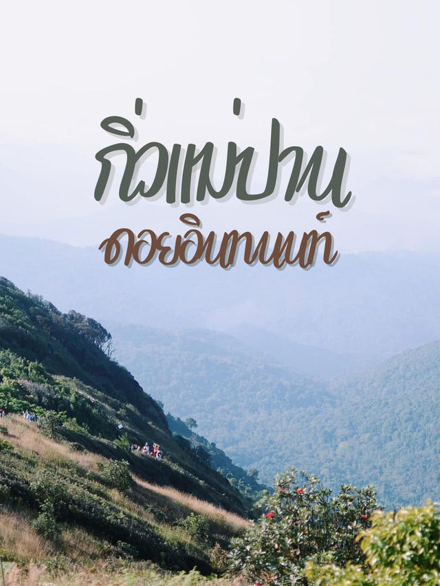 🏞️ กิ่วแม่ปาน – เส้นทางเดินชมธรรมชาติสุดปัง 🏞️ กิ่วแม่ปาน – เส้นทางเดินชมธรรมชาติสุดปัง