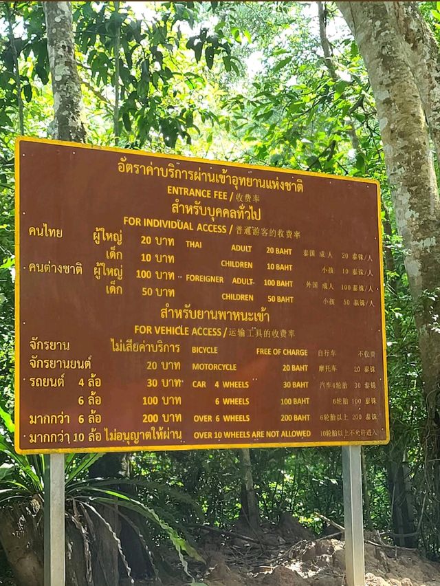 น้ำตกตาดหมอก (แม่ริม เชียงใหม่) 🏞️