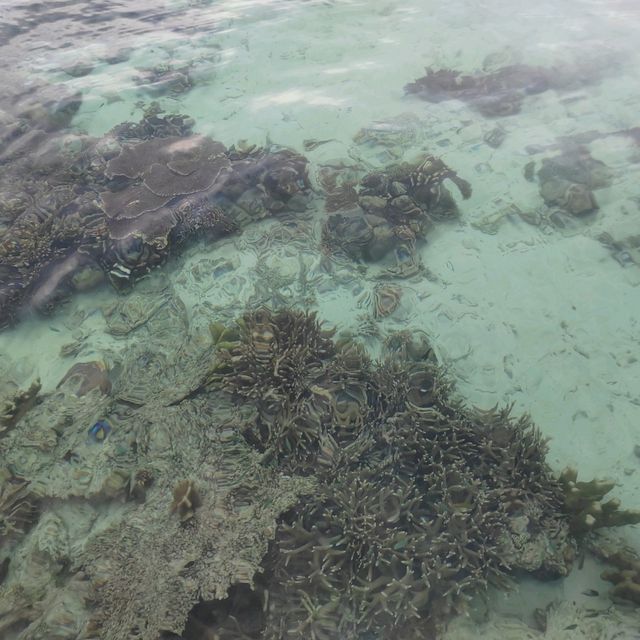 馬達京島最靚海灘秋千打卡🏖
