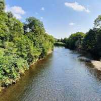 Forest Farm Country Park – Cardiff’s Quiet Wilderness Along the Taff