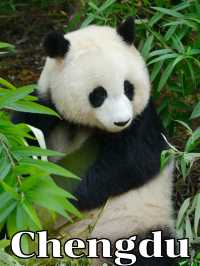 Chengdu, China