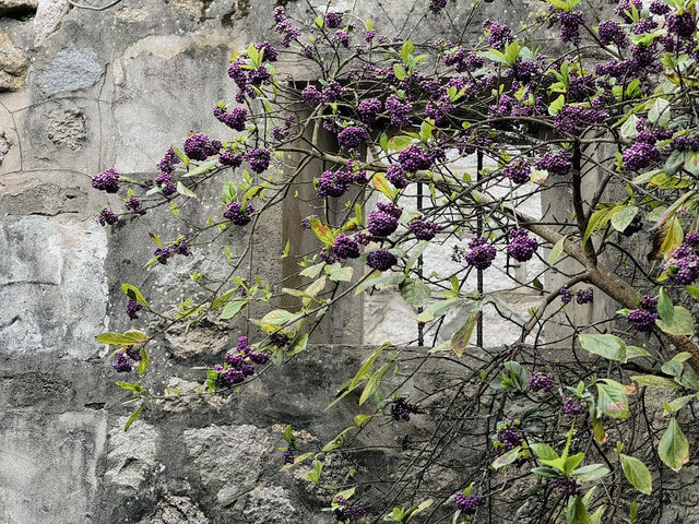 馬祖北竿｜芹壁石屋壓頂：石為瓦鎮，風為伴侶；島嶼歲月的質樸印記