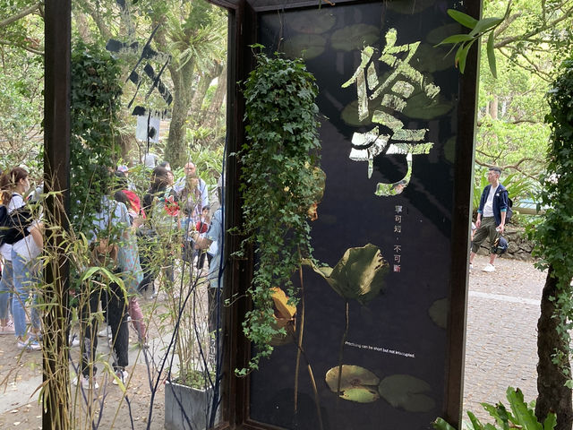 清靜環境放鬆心靈之選   清靜環境放鬆心靈之選