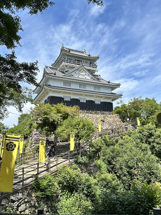 Gifu Castle: A Stunning View from the Summit of Mount Kinka