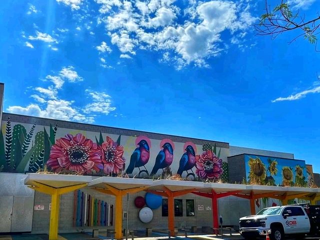 🎨 “Roosevelt Row – Where Art Colors the Heart of Phoenix!”
