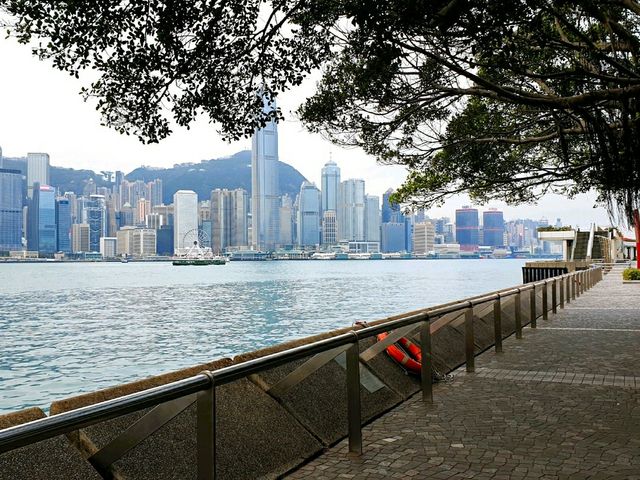맞춰 보세요, 어느 계절의 홍콩일까요? 맞춰 보세요, 어느 계절의 홍콩일까요?