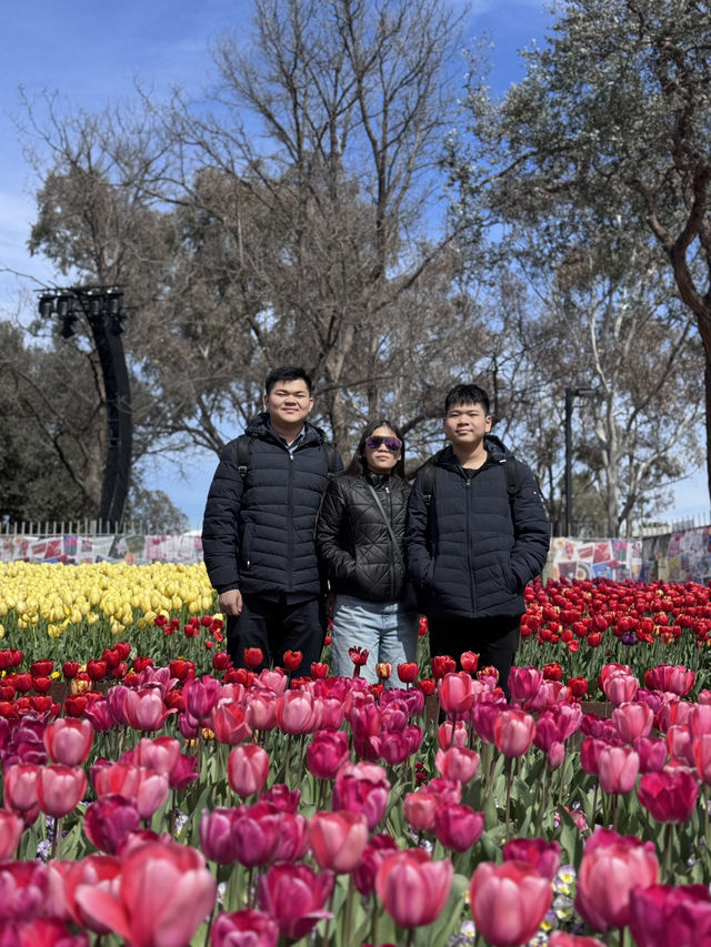 Tulip Festival Fun🎉