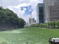the Imperial Palace East Gardens